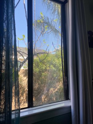 WINDOW AND GLASS REPAIRS - We specialize in Glass and Window Repairs.

Single Glaze Glass
Dual Glaze/Double Pane/IG units
Tempered and Annealed Glass
Metal/Vinyl/Wood Framed Glass Repair

Sash Balances Stuck Windows
Broken Locks

Give us a call or text us at 626-335-2900 with your Pictures and information.