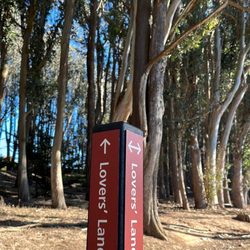 Lovers' Lane at the Presidio
