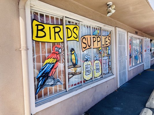 Birds & More by null