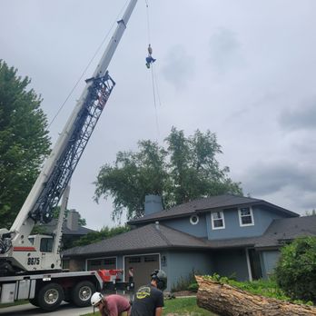Outdoor Solutions - Crane day. One of the funnest. - Tree Services Near Me - Boise, Idaho Outdoor Solutions - Crane day. One of the funnest. - Tree Services Near Me - Boise, Idaho
