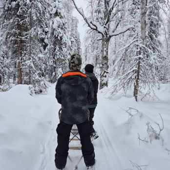 Alaskan Husky Adventures - Sledding Near Me - Willow, Alaska