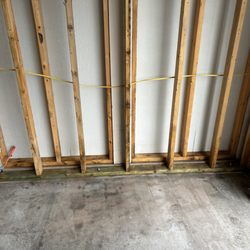 Disaster Services - Wall removed to expose mold