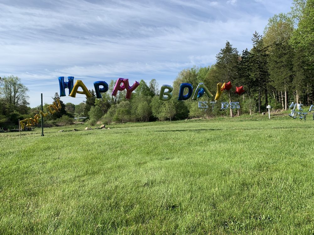 PARTY CITY Updated May 2024 13 Photos 910 Wolcott St, Waterbury, Connecticut Party