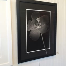 Mamaroneck Artists Guild - Full Bloom