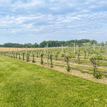Laurel Gray Vineyards - Wineries Near Me - Hamptonville, North Carolina Laurel Gray Vineyards - Wineries Near Me - Hamptonville, North Carolina