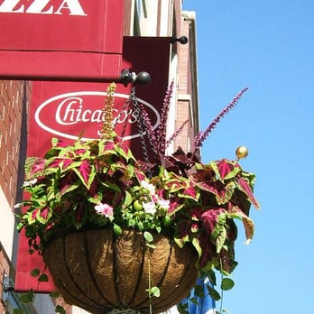 Chicago's Pizza - Pizza Near Me - Chicago, Illinois