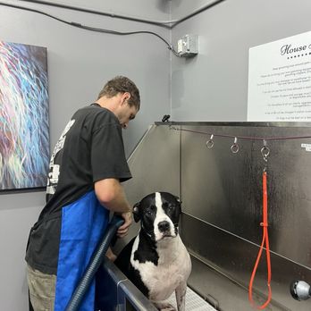 The Paw Spa LB - Another wash station, we come here all the time! - Pet Groomers Near Me - Long Beach, California The Paw Spa LB - Another wash station, we come here all the time! - Pet Groomers Near Me - Long Beach, California
