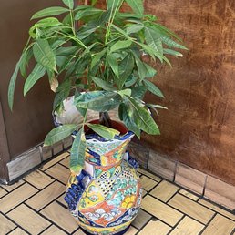Sweet plant