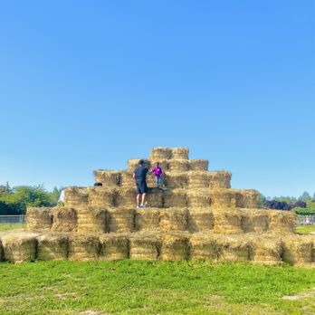Swans Trail Farms - Pumpkin Patches Near Me - Snohomish, Washington