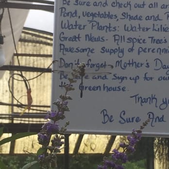 Bonnie's Greenhouse - Dragon fly - Nurseries & Gardening Near Me - Waco, Texas