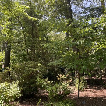 Dixon Gallery & Gardens - Museums Near Me - Memphis, Tennessee