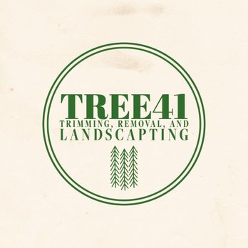 Tree41 - Tree Services Near Me