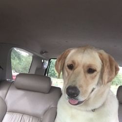 Wateree Animal Hospital