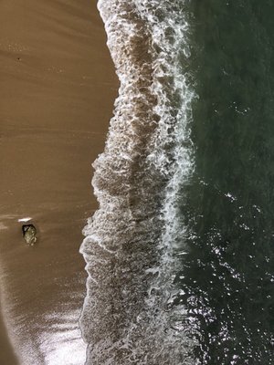 Lemontree Oceanfront Cottages by null
