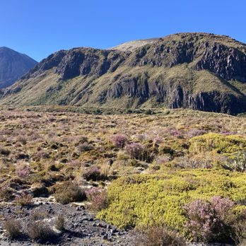 Tongariro Alpine Crossing - The beginning of the hike - Climbing Near Me