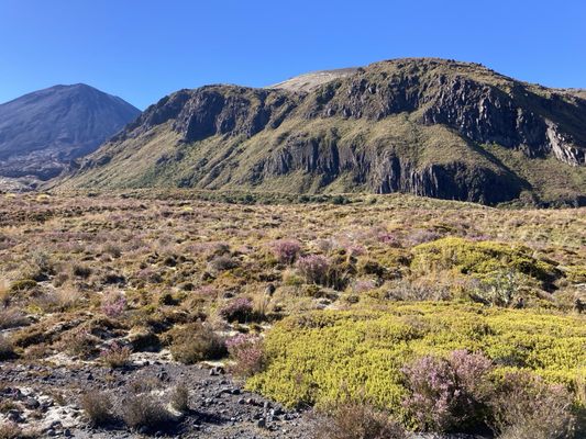 Tongariro Alpine Crossing by null