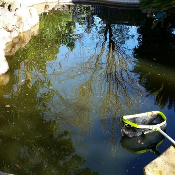 Pinnacle Pool Service - Worst green to clean yet 4/17 - Pool Cleaners Near Me - Roseville, California Pinnacle Pool Service - Worst green to clean yet 4/17 - Pool Cleaners Near Me - Roseville, California