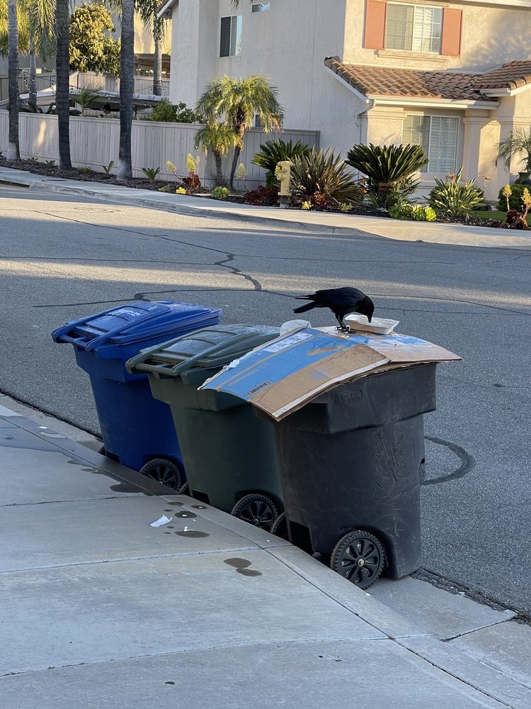 REPUBLIC SERVICES OF CHULA VISTA 40 Photos & 172 Reviews 881 Energy