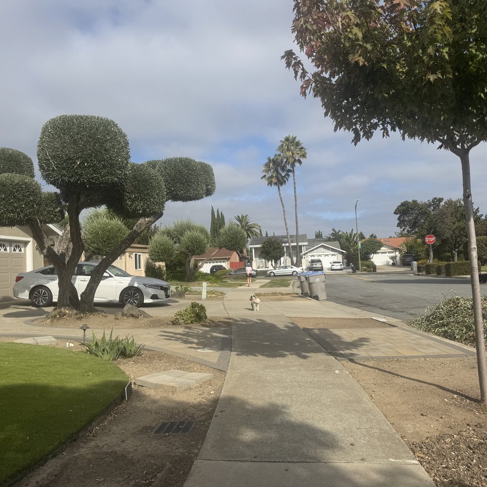 D & I Landscape - Landscaping Near Me - San Jose, California