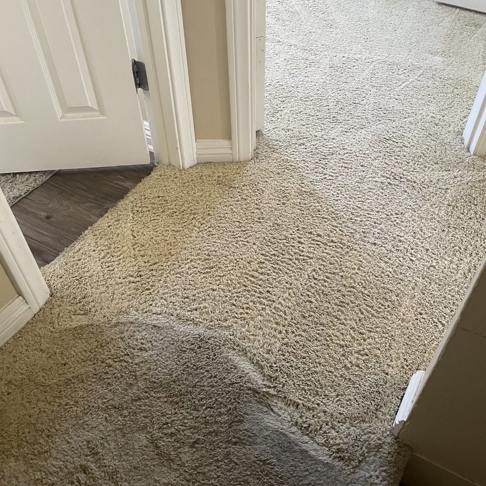 To say I'm impressed is an understatement. My carpets were horrible, but Ben and Steve (family business) performed a miracle. To say I'm impressed is an understatement. My carpets were horrible, but Ben and Steve (family business) performed a miracle.