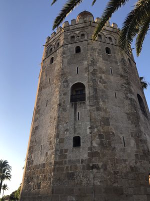 Torre del Oro by null