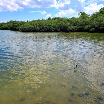 George C McGough Nature Park - Parks Near Me - Largo, Florida George C McGough Nature Park - Parks Near Me - Largo, Florida