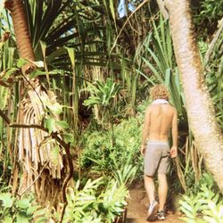 Tarzan Tours - Scotty boy kauai