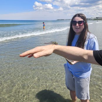 Nantasket Beach - Lucky dragonfly - Beaches Near Me - Hull, Massachusetts