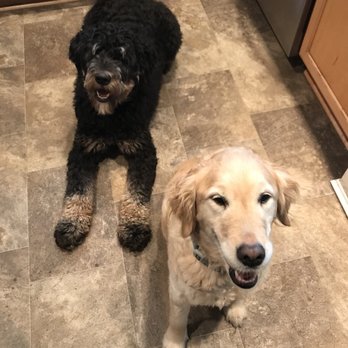 Pampered Paws Grooming - Pet Groomers Near Me - Oregon City, Oregon
