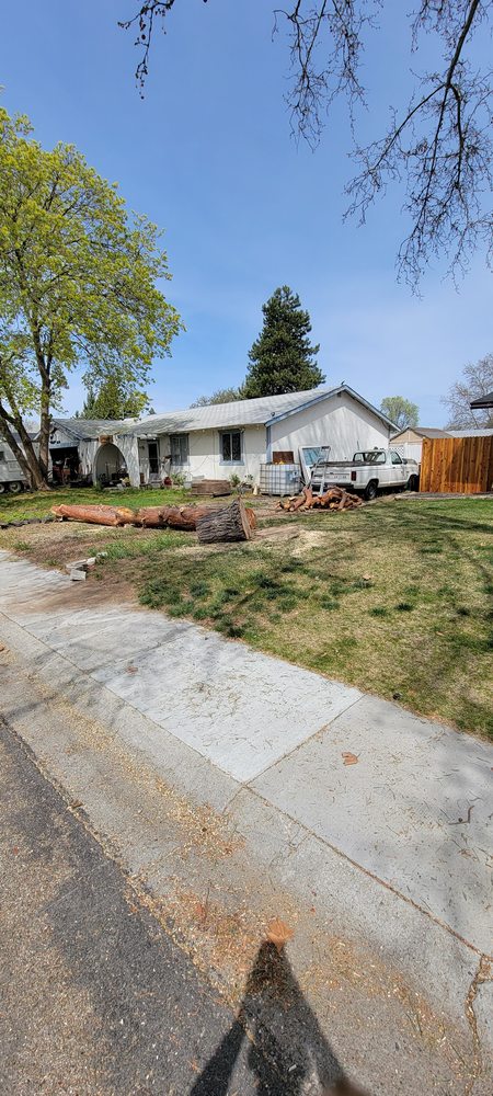 Woodpeckers Trees - tree service in Boise, ID