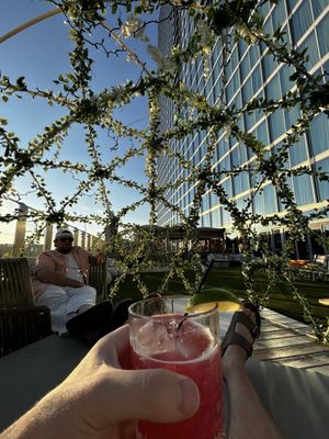 Thistle and Rye by null