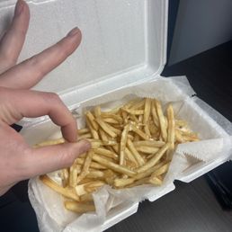 Cheese Fries Cheese Fries
