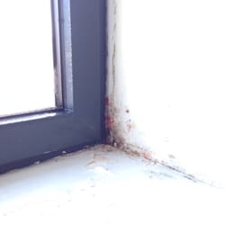 Aparthotel Adagio Access Paris Reuilly - Schimmel im Zimmer