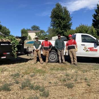 Young Bucks Landscaping & Tree Service - three men standing in front of a truck - Tree Services Near Me Young Bucks Landscaping & Tree Service - three men standing in front of a truck - Tree Services Near Me