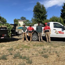 Young Bucks Landscaping & Tree Service