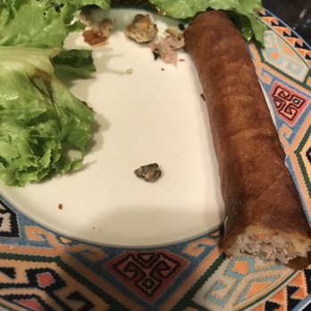 Pho 87 - Literally a pebble from the egg roll (rinsed it to take a closer look at what it was) - Vietnamese Near Me - Los Angeles, California Pho 87 - Literally a pebble from the egg roll (rinsed it to take a closer look at what it was) - Vietnamese Near Me - Los Angeles, California
