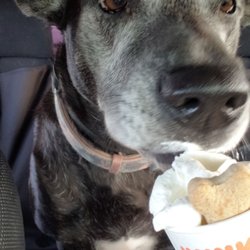 Dunkin' - Staff is always friendly.  They usually offer my dog a pup cup when she is with me.