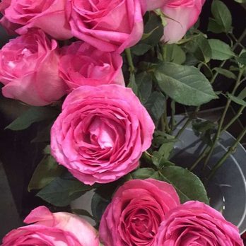 Dutch Flowers - $9 a stem roses - Florists Near Me - Kansas City, Missouri Dutch Flowers - $9 a stem roses - Florists Near Me - Kansas City, Missouri