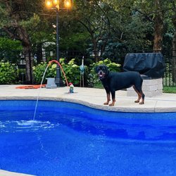 DesRochers Backyard Pools and Spas