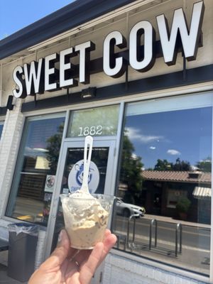 Sweet Cow by null