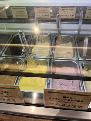 Premarché Gelateria & Alternative Junk by null