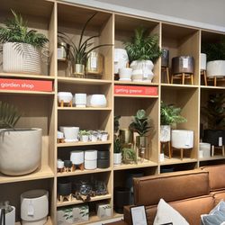 west elm - Garden center