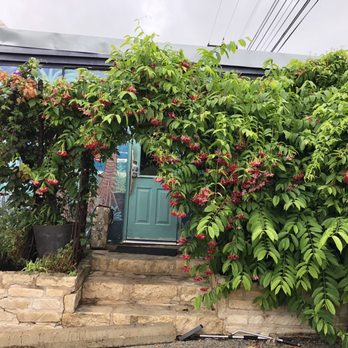 The Great Outdoors - Nurseries & Gardening Near Me - Austin, Texas