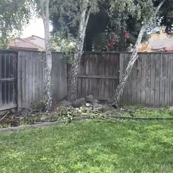 Nick's Landscaping - Before Nick - Landscaping Near Me - Stockton, California Nick's Landscaping - Before Nick - Landscaping Near Me - Stockton, California