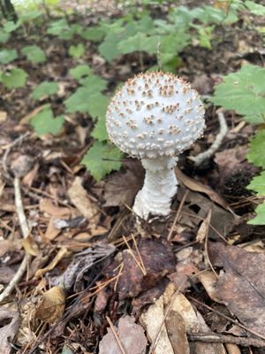 Don Carter State Park by null