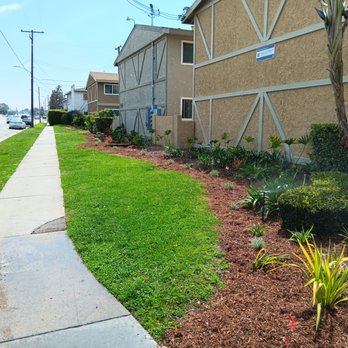 Tejeda's Tree & Landscaping Services - Tree Services Near Me Tejeda's Tree & Landscaping Services - Tree Services Near Me