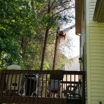 T & M Tree Services - Tree Services Near Me - Owensburg, Indiana T & M Tree Services - Tree Services Near Me - Owensburg, Indiana