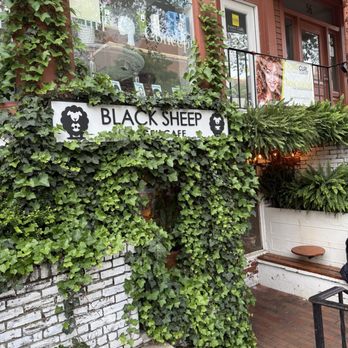 Black Sheep Bagel Cafe - Exterior of shop & outdoor seating - Bagels Near Me - Cambridge, Massachusetts