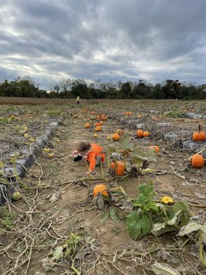 K S Farms, 831 Windsor Perrineville Rd, Hightstown, NJ 08520