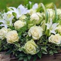 The Flower Garden Florists - White Rose Casket Spray